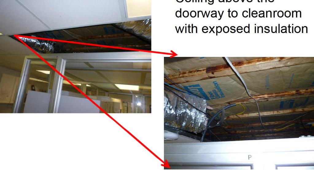 Insanitary Condition Example Ceiling above