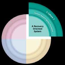 Recovery-Oriented Practice A recovery-oriented system represents a transformation of our current mental health system. The changes begin with how we view mental health and wellness.