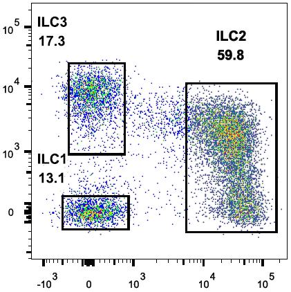 ILCs characterization and comparison by RNA Sequencing C-kit Thawing