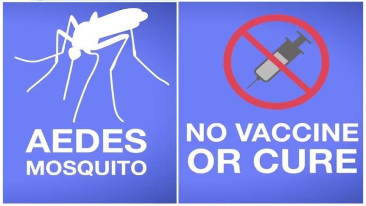 Prevention No vaccine exists to prevent Zika virus disease (Zika). Prevent Zika by avoiding mosquito bites (see below). Mosquitoes that spread Zika virus bite mostly during the daytime.