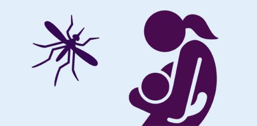 Zika Virus in Pregnancy Zika virus can be spread from a pregnant woman to her unborn baby.