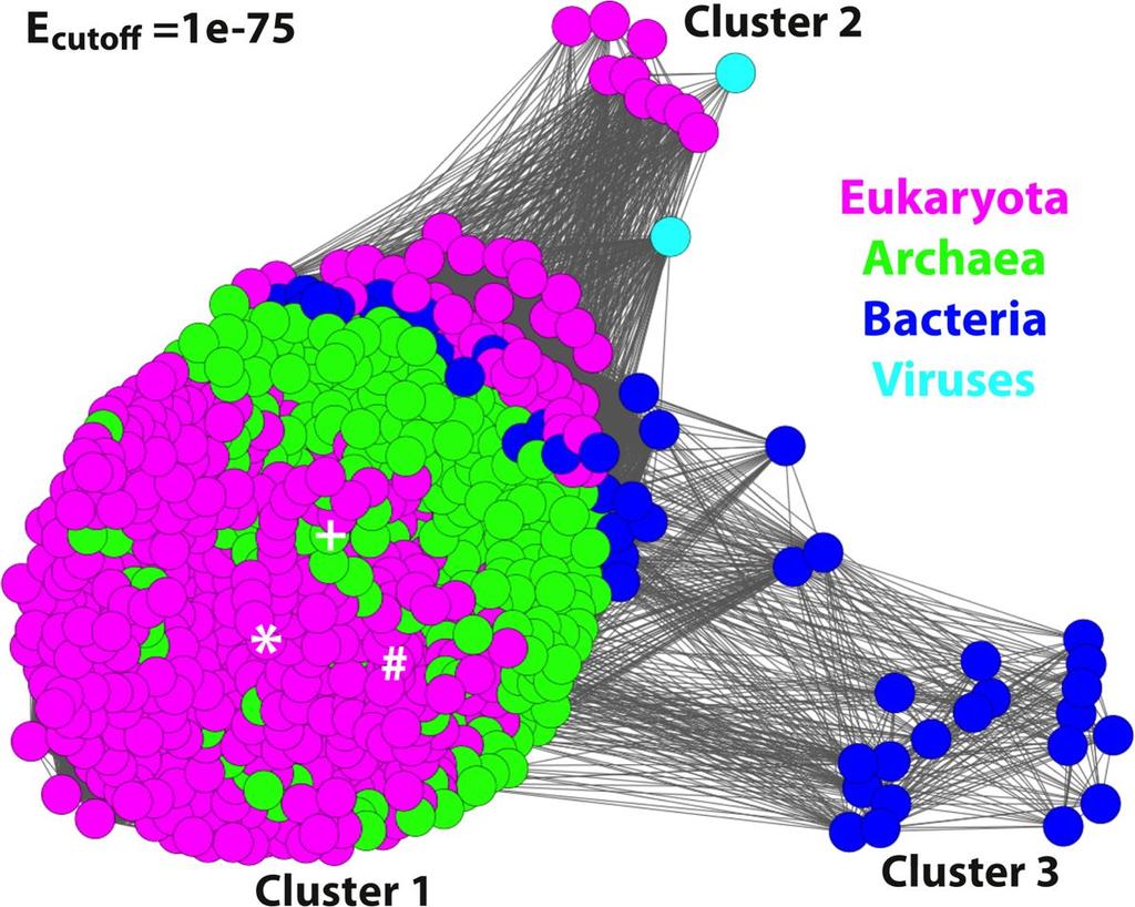 Supplementary Figure 2 Visualization of the presence of Elp3 in different domains of organisms.