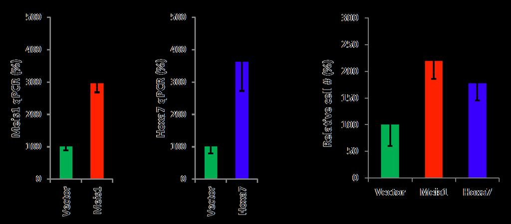 Suppl. Figure 3. Retroviral-mediated overexpression of Meis1 or Hoxa7 increases the cell numer in MLL-AF9 cell cultures.