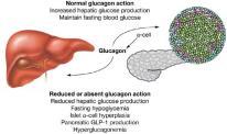 Insulin and are d by β and α cells of the pancreas respectively to control blood glucose.