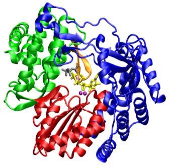 essential for posttranslational processing of HCV polyproteins 1 Boceprevir Telaprevir ABT-450/r, ACH-1625