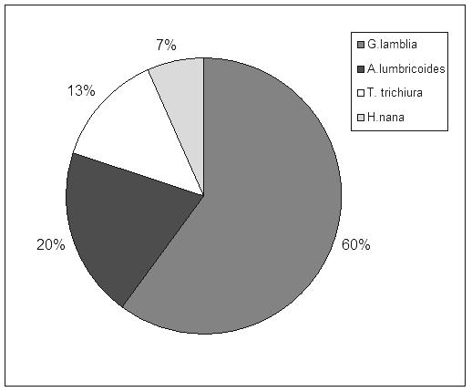 Figure 3. Parasites identified by microscopy (percentages computed only among microscopy samples) Of the 9 specimens in which G. intestinalis has been identified, only 5, representing 55.