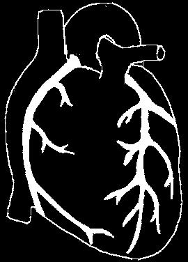 Coronary artery The heart is living tissue (muscle) therefore it must have its own supply of oxygen