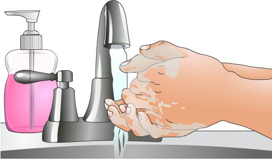 Prevention To prevent tapeworm infection, wash your hands with soap and water before eating or handling food. Wash your hands after using the toilet.