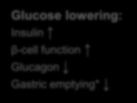 liraglutide Glucose