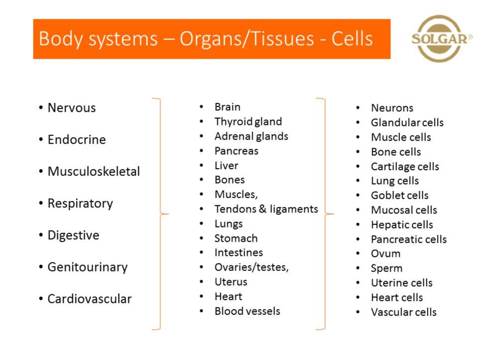 First we must understand the systems of the body - not an exhaustive list but examples of how the body works.