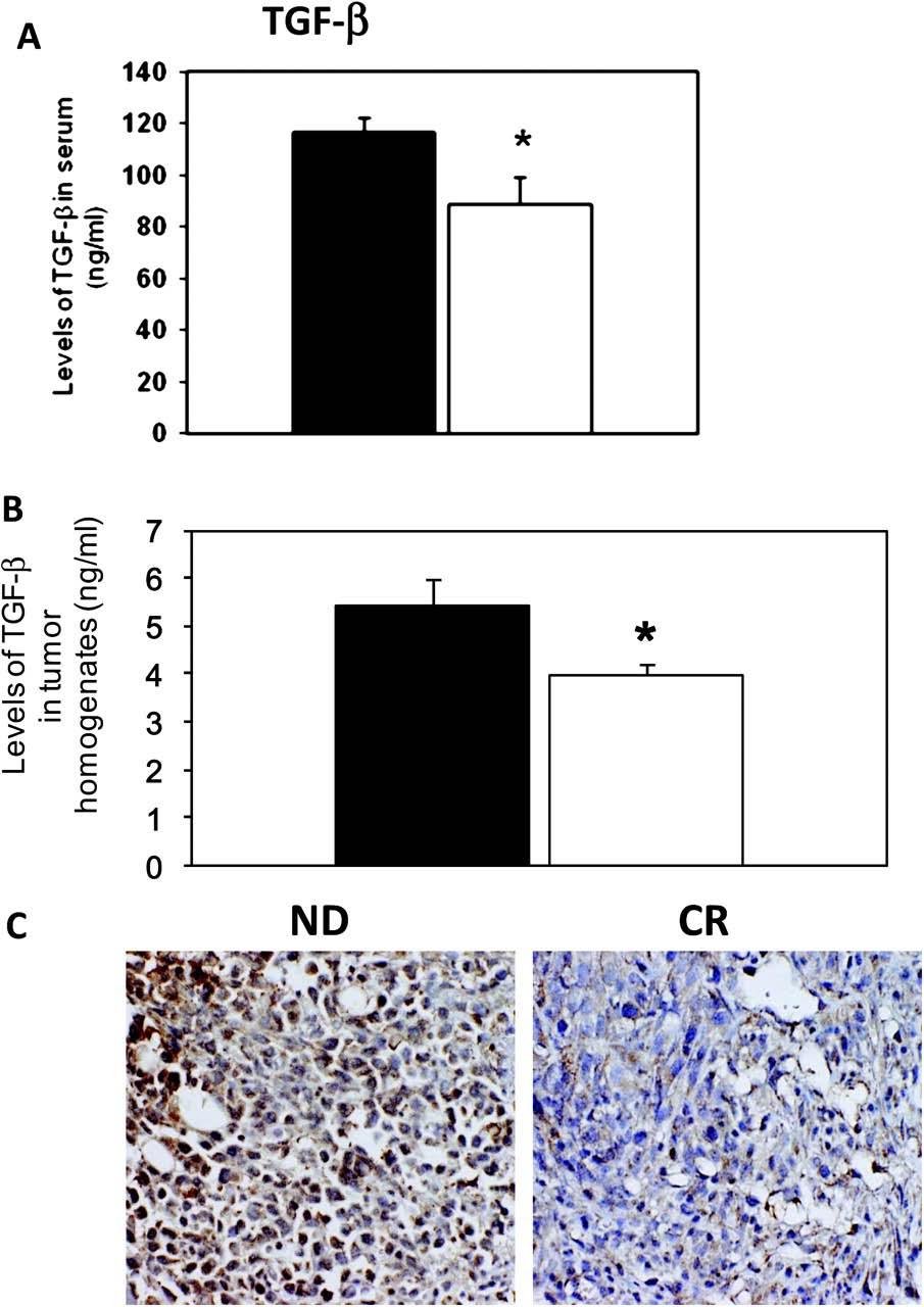 Levels of TGF-β are reduced in CR mice. De Lorenzo M S et al. Carcinogenesis 2011;32:1381-1387 The Author 2011.