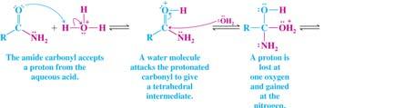 Hydrolysis of Amides Heating an amide in concentrated aqueous acid or