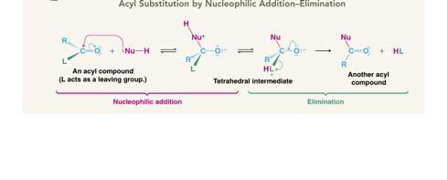 Nucleophilic Acyl Substitution Critical Concept. This is the characteristic reaction of carboxylic acid derivatives.