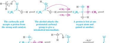 Carboxylic Acid Anhydrides Synthesis of Carboxylic Acid Anhydrides Acid chlorides react with carboxylic acids to form mixed or symmetrical anhydrides It is necessary to use a base such as pyridine