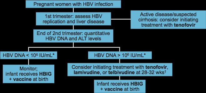 Algorithm for HBV Management in Women During Pregnancy *The cut-off level of maternal HBV