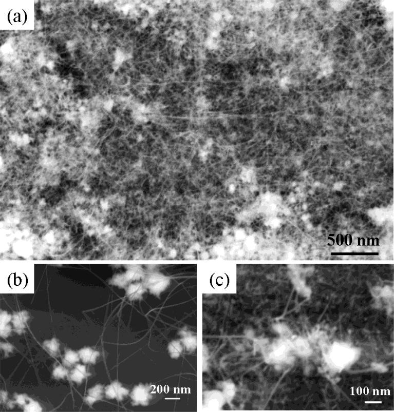 8774 J. Phys. Chem. B, Vol. 108, No. 26, 2004 Letters Figure 1. SEM images of ultrathin ZnO nanobelts grown on tin-coated silicon substrate.
