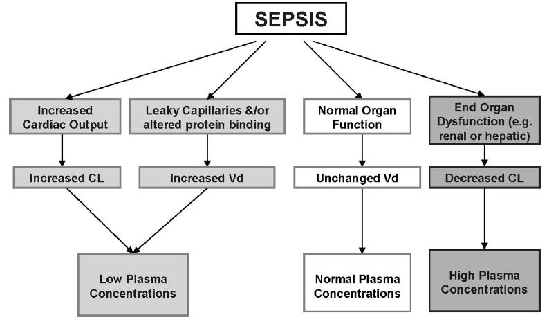 Sepsis changes PK Extracorporeal circuits Altered