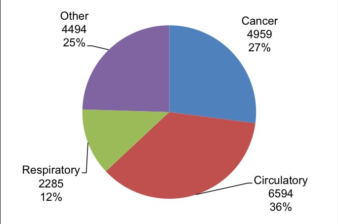 Causes of Death in the Peninsula (2007) Cause, Number of deaths, percentage of total 3.