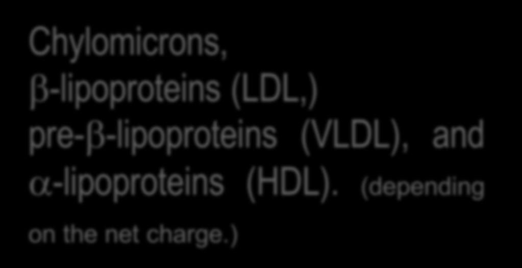 -lipoproteins (HDL).