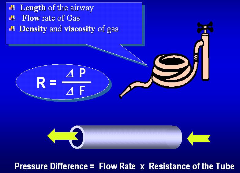 Resistance R Resistance of airways Delta P is pressure difference between upper airway and alveoli Delta F is the difference in flow between upper airway and alveoli Airway resistance is directly