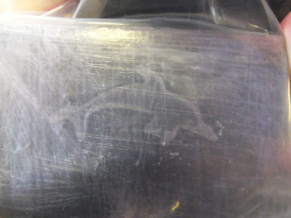 - 5-100 gram bars of cannabis resin Dolphin logo
