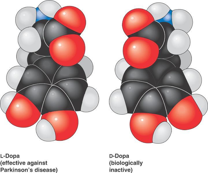 Carbon Chemistry Why is carbon key to molecular shape and function?