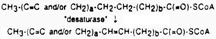 Other Fatty Acids. Palmitic acid (C 16 ) is the shortest fatty acid biosynthesized by humans and higher animals. Elongase enzymes convert it into higher saturated fatty acids.