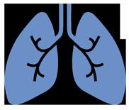 CFTR dysfunction begins a cascade leading to structural damage in the lungs The cascade can result in infection, inflammation, and damage
