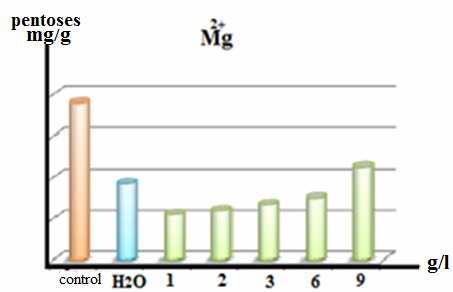 Dissolved Carbohydrates Figures and table (7) show the results that have been obtained: Table (7) effect of magnesium ions on Hexosese and Pintoses in seedlings,at gradual Concentrations