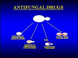 Antiulsar Drugs