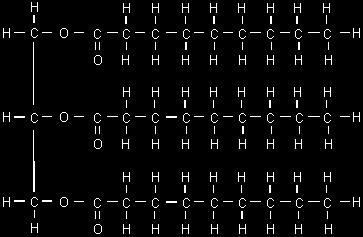 To do this we remove the H from each hydroxyl group on Glycerol and an OH from each carboxyl group