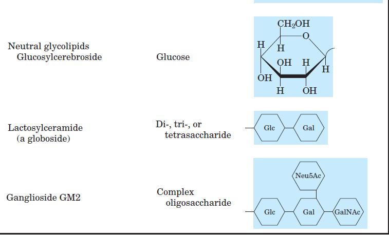 one or more sugar residues in a β- glycosidic linkage at