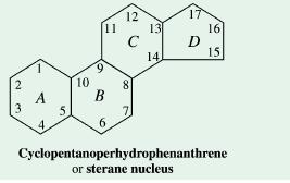CYCLOPENTANOPERHYDROPHENAT HRENE or STERANE This system consists of 3 cyclohexane rings (A,B and C) fused in nonlinear or phenathrene manner and a terminal cyclopentane