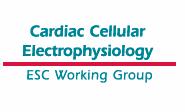 Cellular Electrophysiology Working Group on ecardiology 7