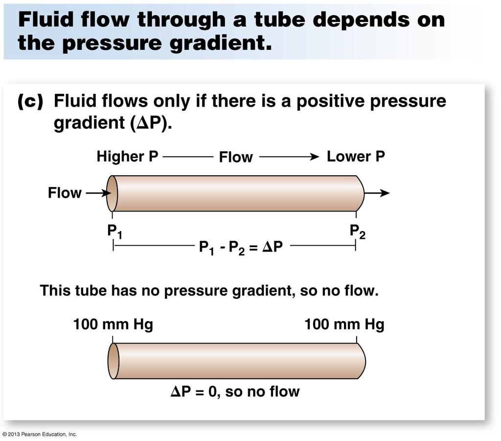 Laws and Equations Based on Basic Principles Stoke s Law Flow Blood flows from an area of high pressure to of lower pressure until equilibrium is reached Flow =
