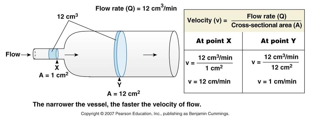 Velocity = Flow / total cross-sectional area