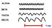magnitude of brain waves, measured in millivolts (mv), gives an indication of the wave s power.