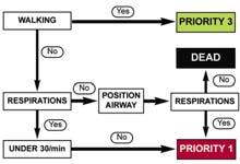 crying Primary Triage Determining whether there is an airway and