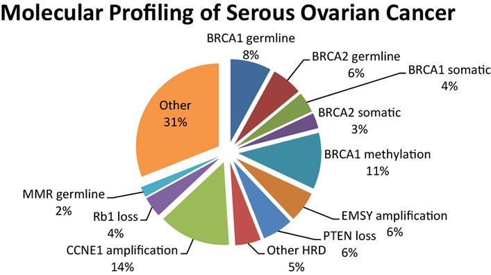 Our approach: genetic analysis to select candidates for immune therapy of ovarian cancer Presence of