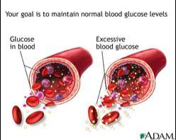 Monosaccharides and the body Glucose - blood