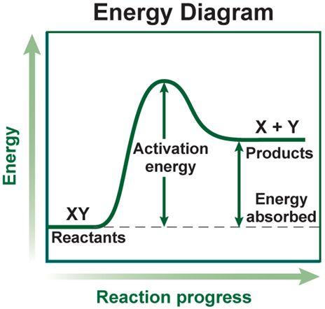 Exothermic vs. Endothermic RXN Endothermic - absorbs heat energy.