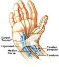 distal to the transverse ligament of the Carpal Tunnel Less complications/adhesions No