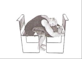 (Push with your right hand and push with your left hand keeping your hands on the back of the chair as you twist to the right. 4. Hold the stretch for several breaths. 5.