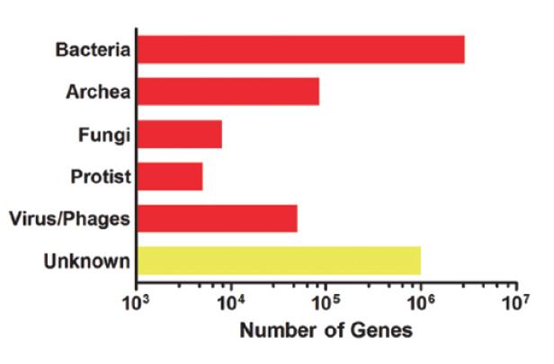 Metagenome Source: WGO Handbook on Gut