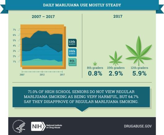 Cannabis is the most widely used illicit drug