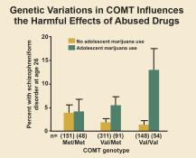 Link between poor outcomes when cannabis used in adolescence (not adulthood) and Val variant of catechol- O-methyltransferase (COMT) gene Stronger association with: Early age at first cannabis