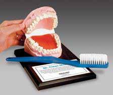 Mr. Clean Mouth What it is: A realistic model of the adult mouth with teeth, gums, and tongue. It comes with a toothbrush. How to use it: Use the model to show how to brush and floss.