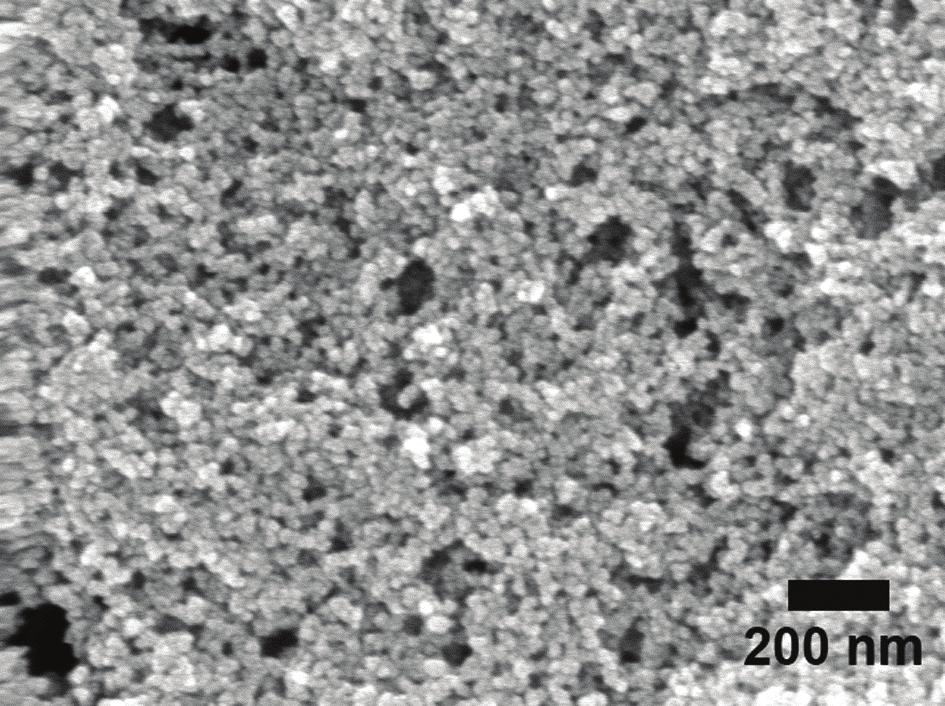 Fig. S4. SEM image of solid precipitates formed from the solution containing 0.1 mg/ml BSA, 10 mm HPO 4 2-, 2 mm H 2 PO 4 -, and 0.8 mm Cu 2+. Fig. S5.