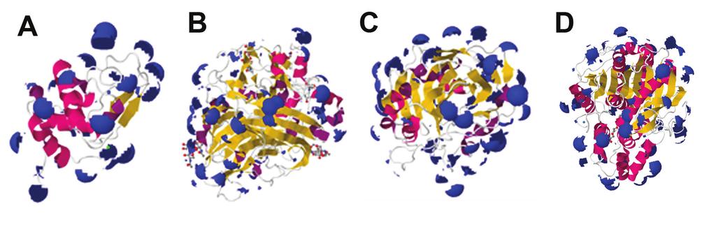 protein structures marked in blue.