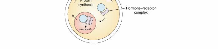 Mechanism of hormonal action 1.